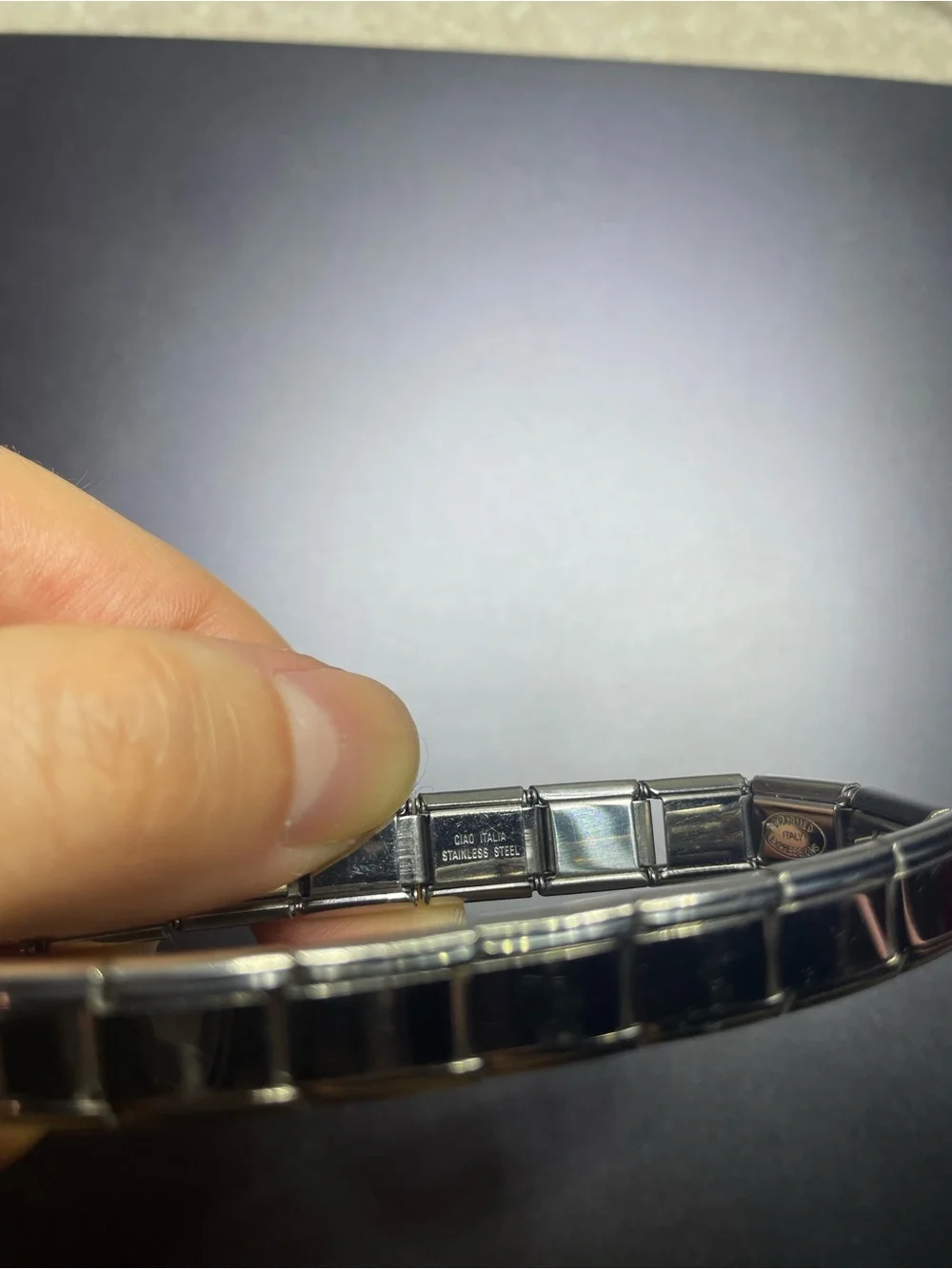 Jill Friend Oregon Stainless Steel Link Bracelet